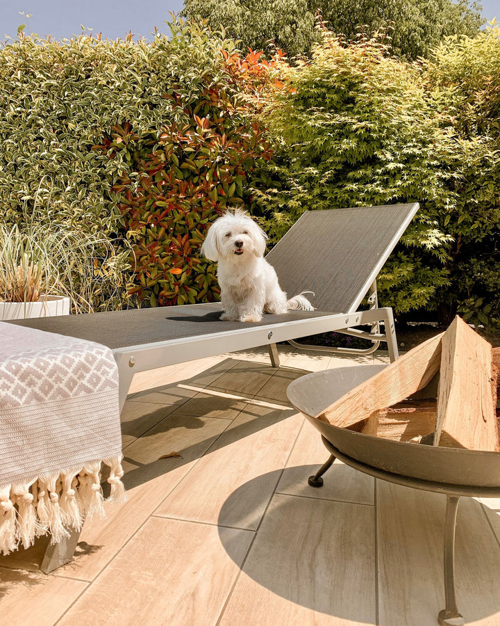 Steel Reclining Sun Lounger Grey Hendrickson