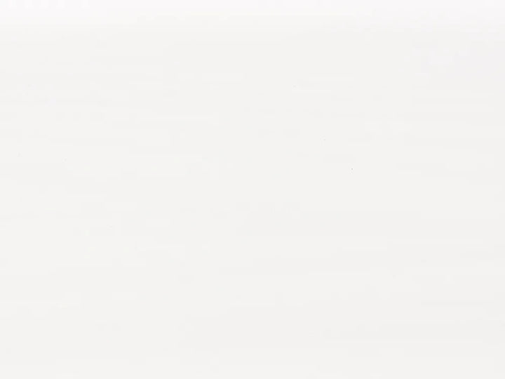 Trundle Bed Pine Wood 90 x 200 cm (EU Single) White Erthridge