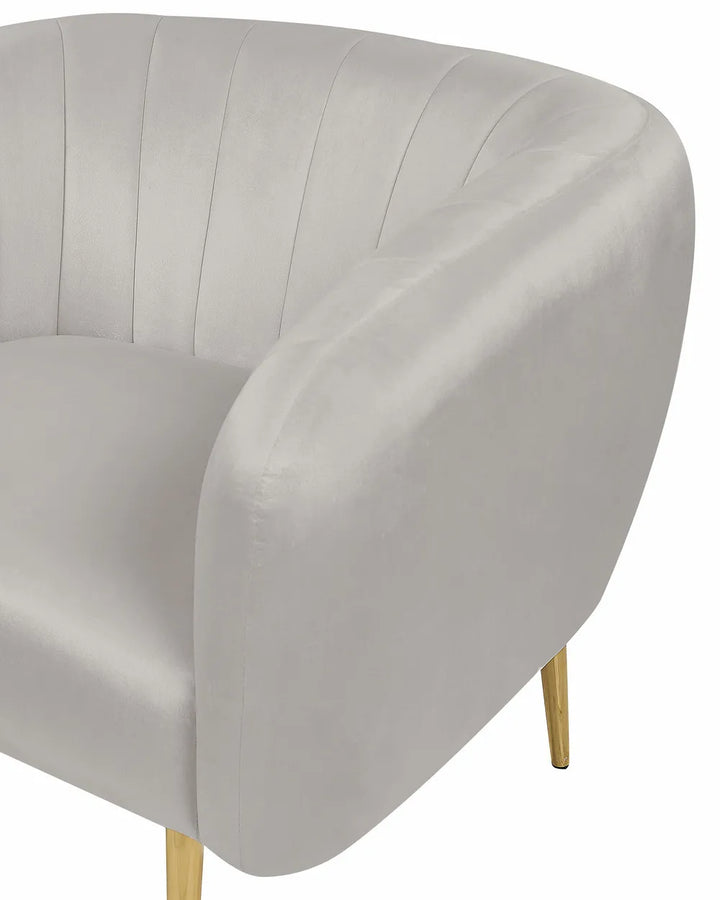Armchair Velvet Light Grey Hendrix