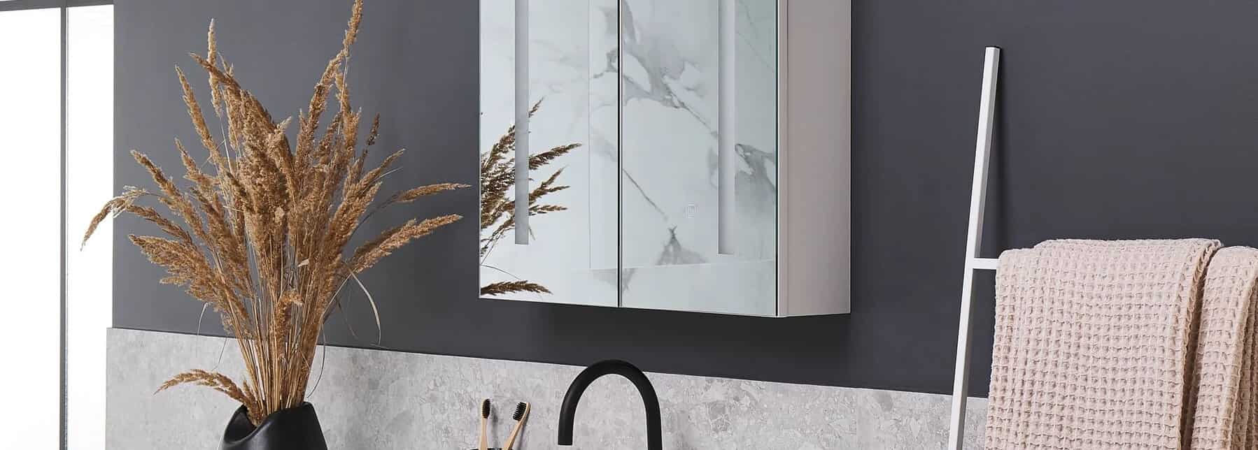 Mirrored Cabinets