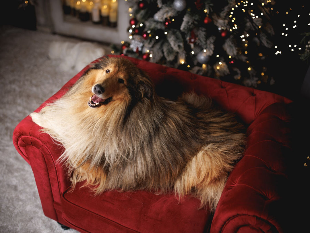 Chesterfield Armchair Velvet Dark Red