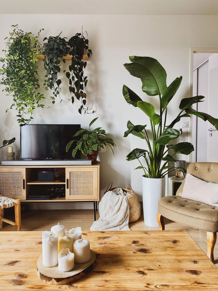 TV Stand Rattan Light Brown Warren