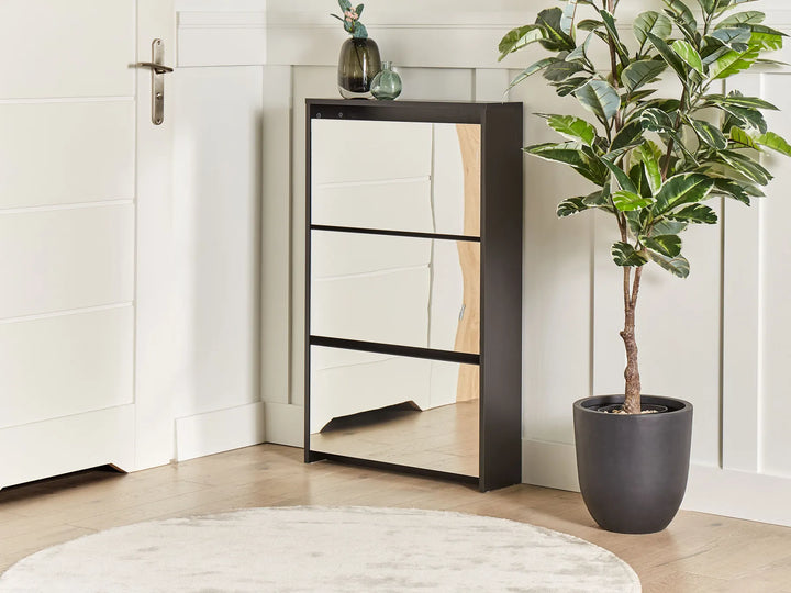 Shoe Storage Cabinet with Storage Black Malbo