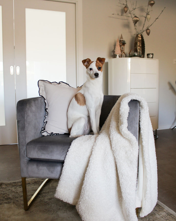 Sirkka Armchair Velvet Grey