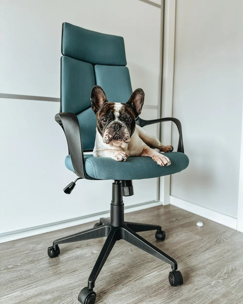 Office Chair Teal Caidence