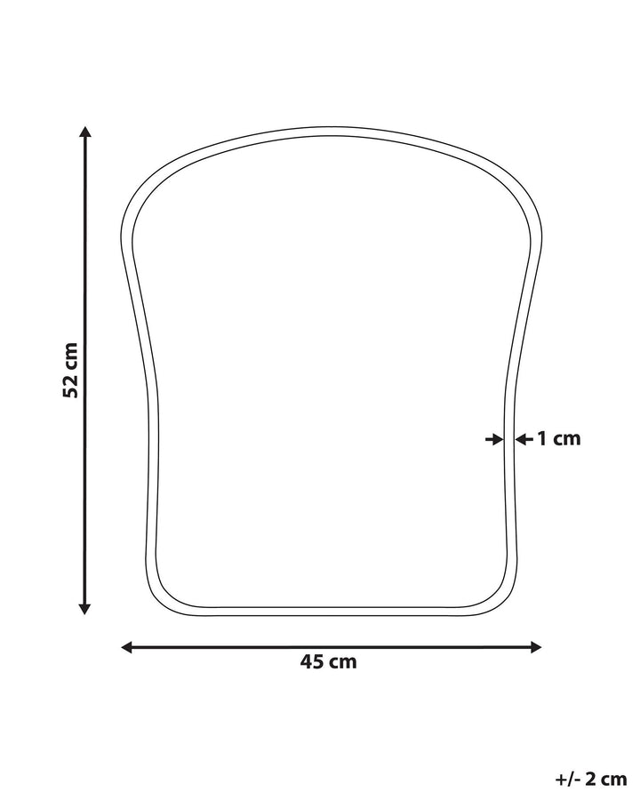 Wall Mirror Noth Metal Gold  