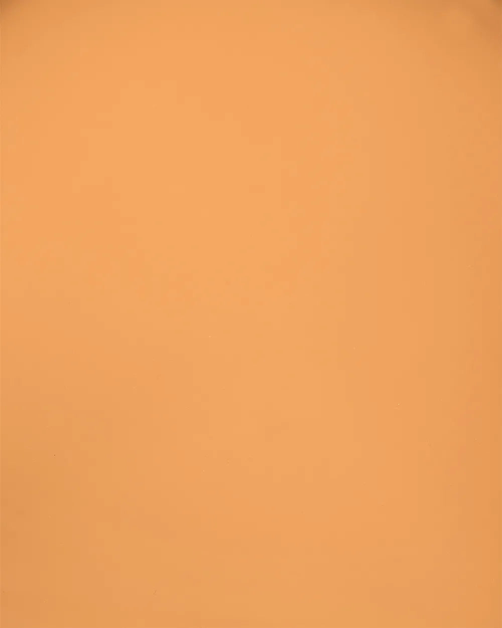 Set of 2 Dining Chairs Orange Milbrey