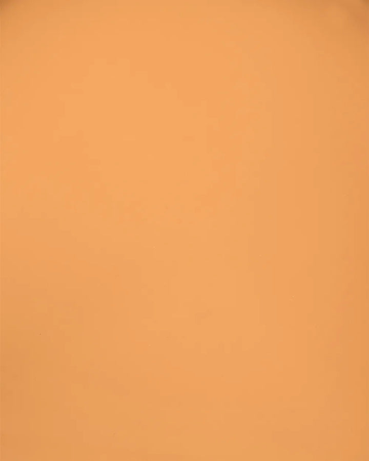 Set of 2 Dining Chairs Orange Milbrey