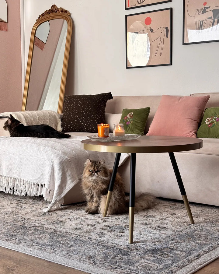 Living room with a sofa, coffee table, and cats in a cozy setting.