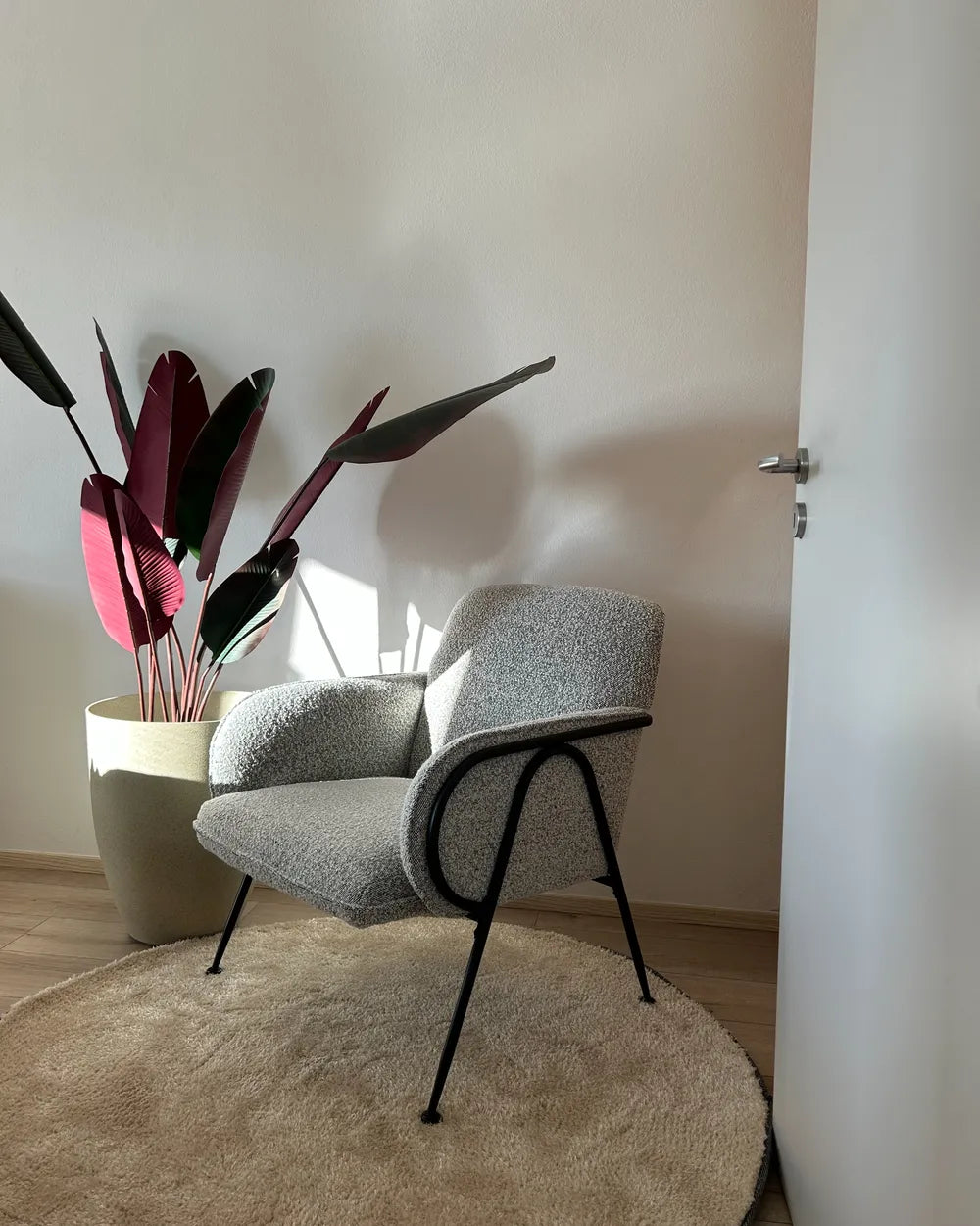 Gray armchair with black legs in a room with a plant and white wall.