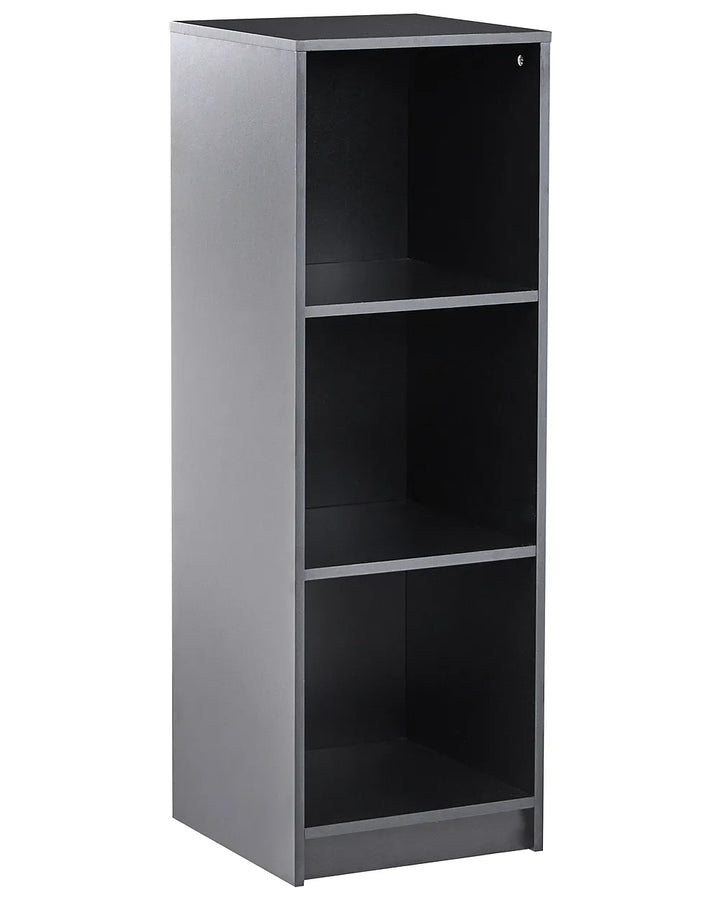 Tall gray bookshelf with four shelves on a white background