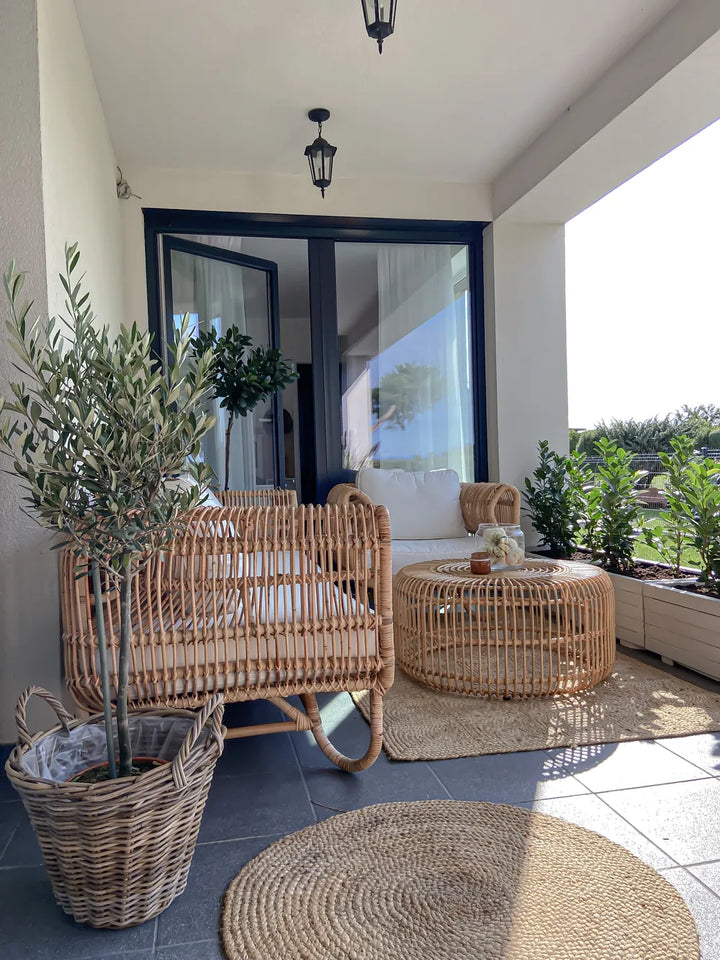 Outdoor patio with wicker furniture, plants, and a rug.