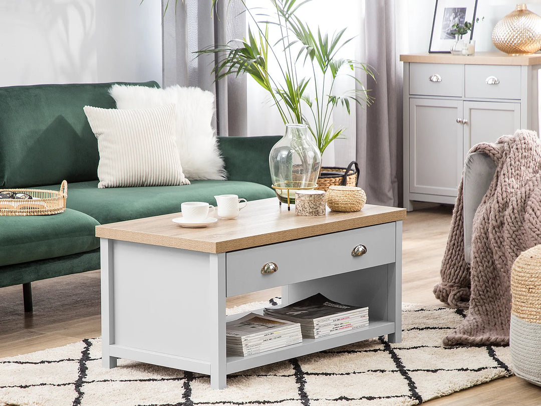 Coffee Table Light Grey with Storage Vesely