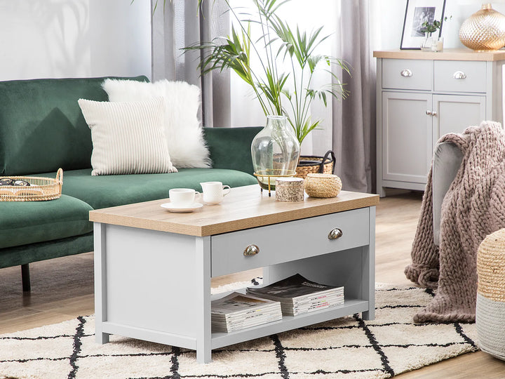 Coffee Table Light Grey with Storage Vesely