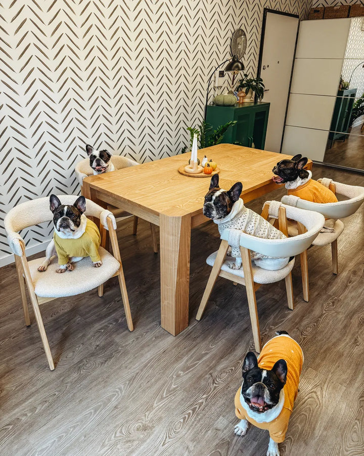 Four dogs in colorful outfits sitting around a wooden table in a room with patterned wallpaper.