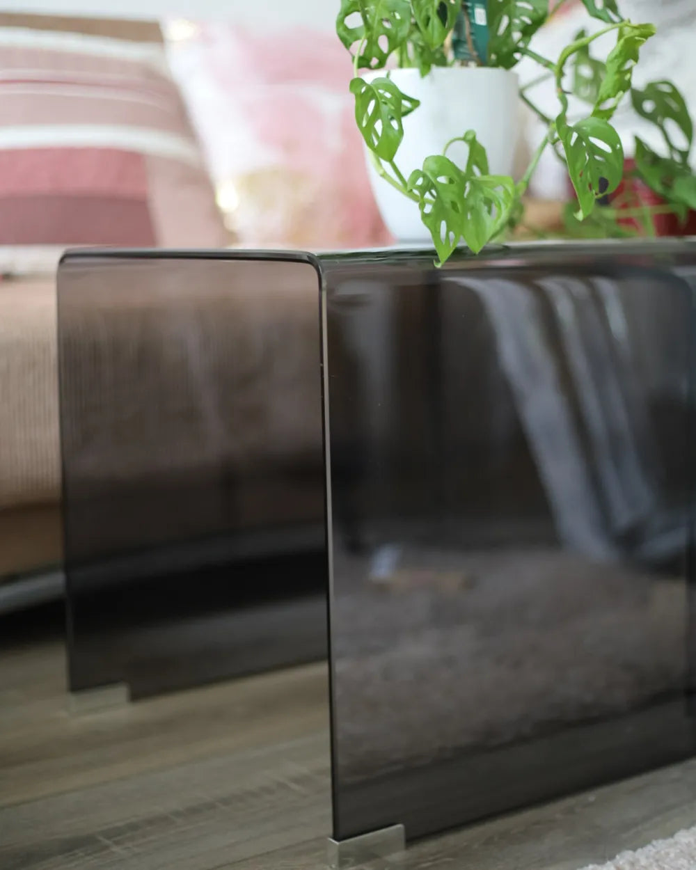 Glass coffee table with a plant on top in a living room setting