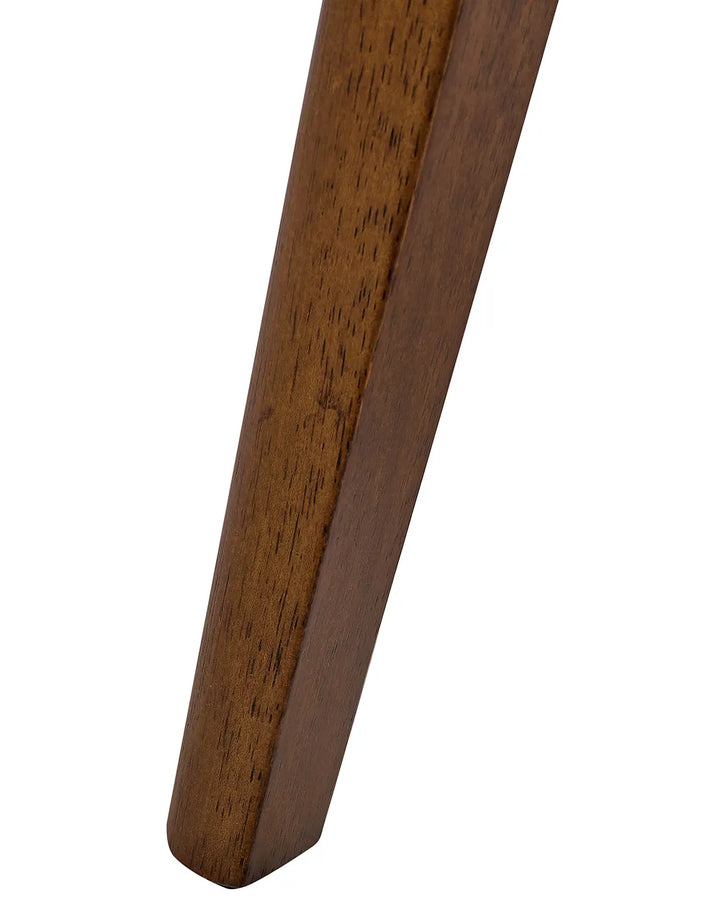 Set of 2 Dining Chairs Wood Brown Cecelia