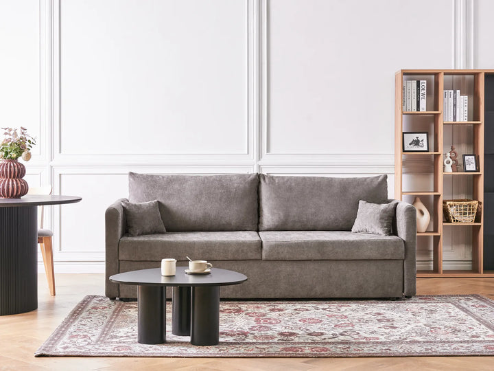 Gray sofa in a living room with a bookshelf and coffee table.