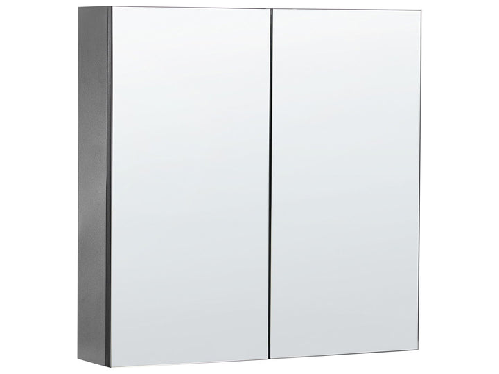Bathroom cabinet with two mirrored doors on a white background