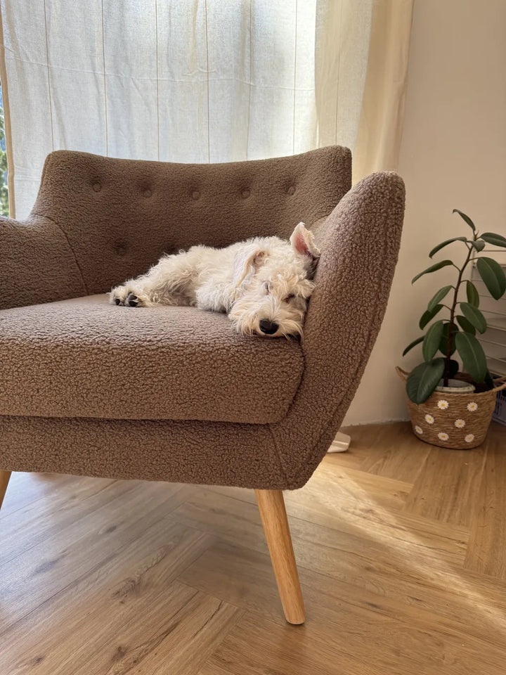 Armchair Boucle Brown Lasca
