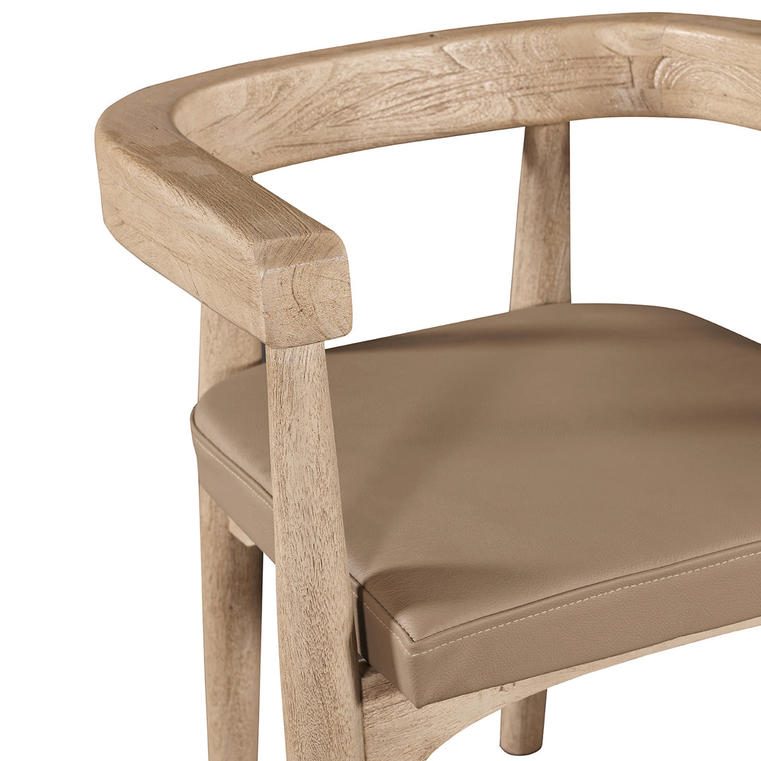 Libra Arena Natural Acacia Wood Curved Dining Chair