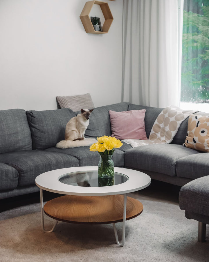 Vianor Coffee Table with Shelf White with Light Wood