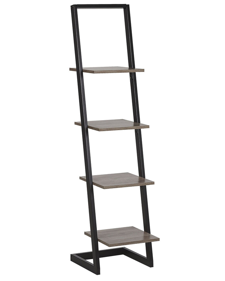 Leaning ladder bookshelf with five shelves on a white background