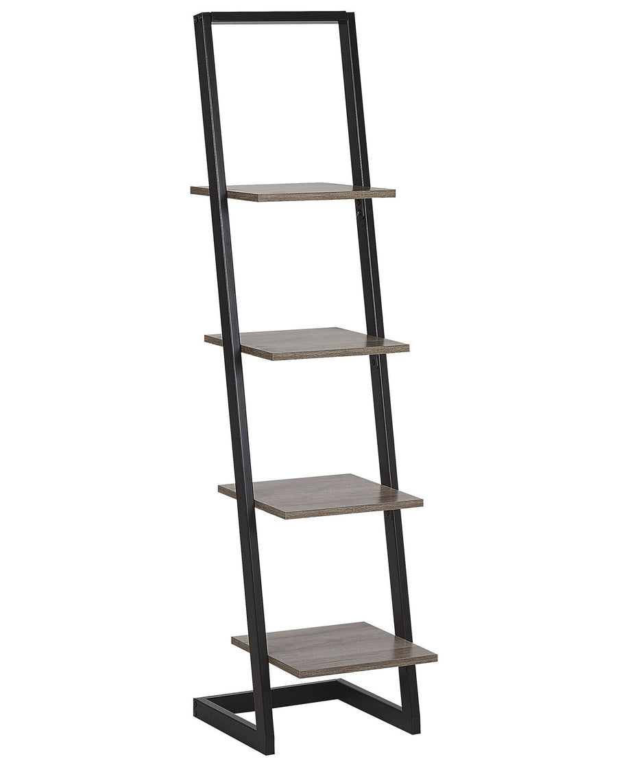 Leaning ladder bookshelf with five shelves on a white background