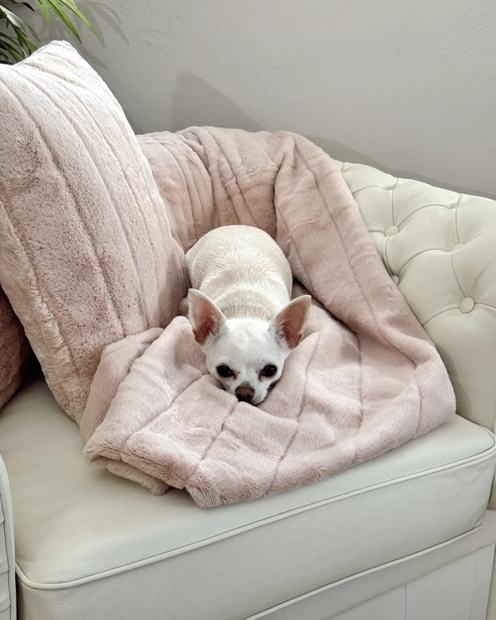 Armchair Leather Light Beige Loriece