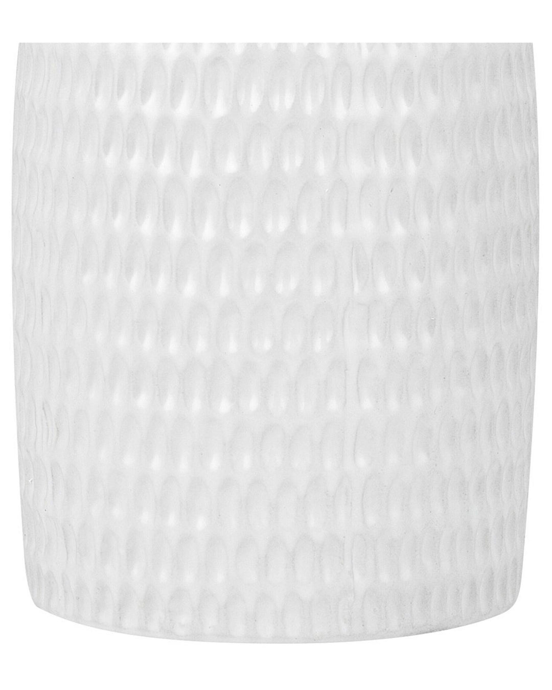 Linzi Decorative Vase Stoneware 25 cm White