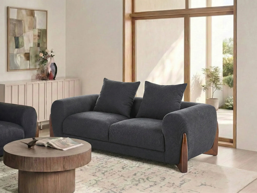 sofa with dark cushions in a modern living room setting.