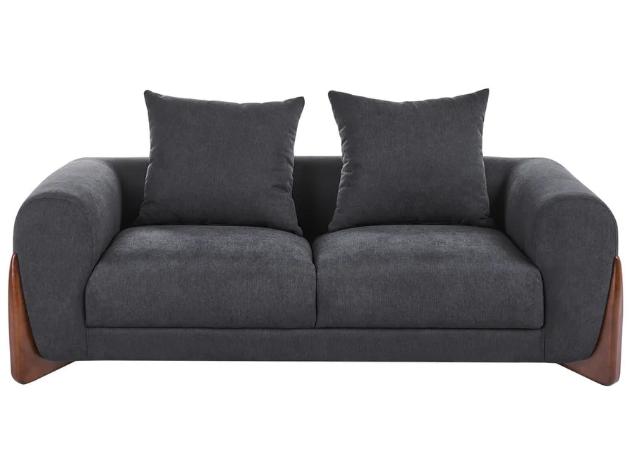 sofa with two dark gray cushions on a white background