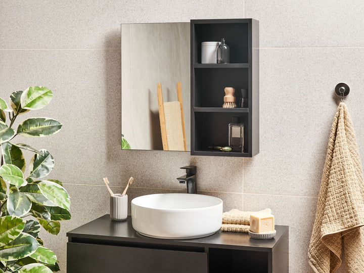 Bathroom Wall Mounted Mirror Cabinet 60 cm Black Joinville