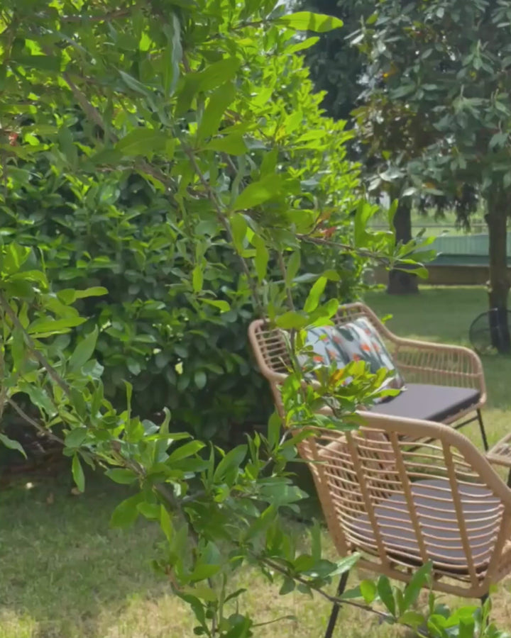 Minori Garden Lounge Set with Table 4 Seater PE Rattan Beige