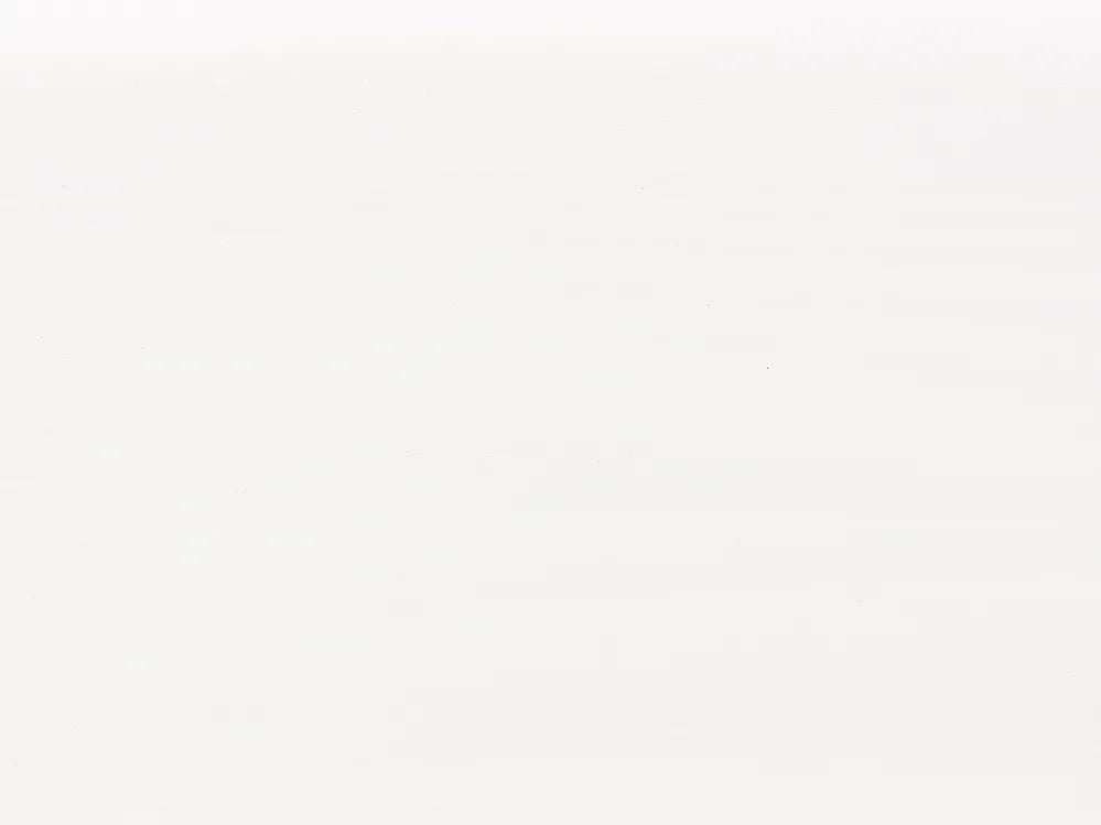 Trundle Bed Pine Wood 90 x 200 cm (EU Single) White Erthridge