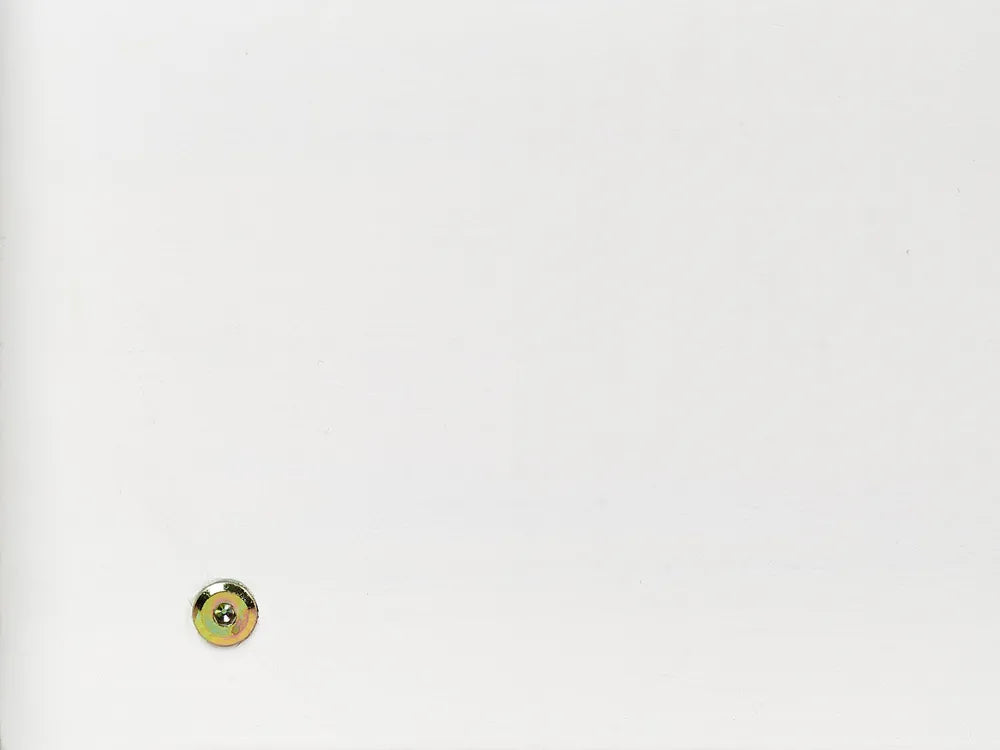 Trundle Bed Pine Wood 90 x 200 cm (EU Single) White Erlom