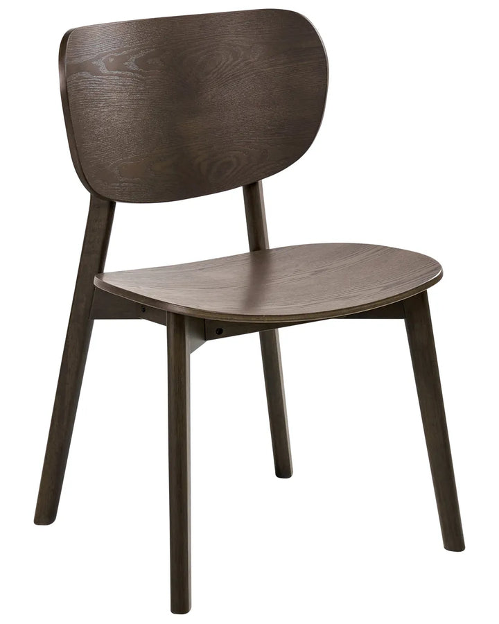 Set of 2 Dining Chairs Wood Dark Brown Rini