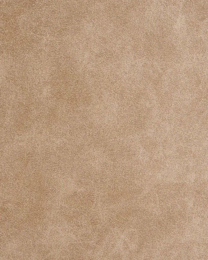Set of 2 Dining Chairs Faux Suede Beige Art
