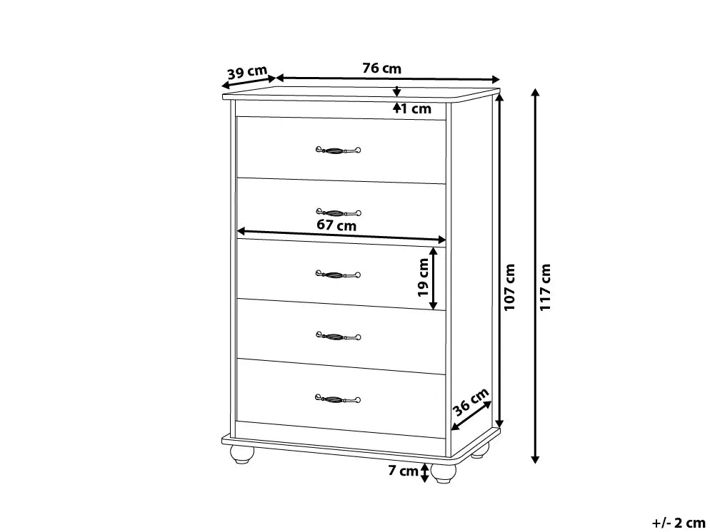 5 Drawer Chest With Additional Storage Space White Ivy Bronx