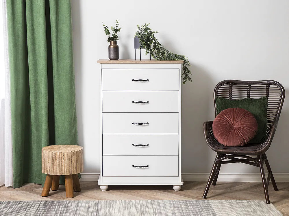 5 Drawer Chest With Additional Storage Space White Ivy Bronx