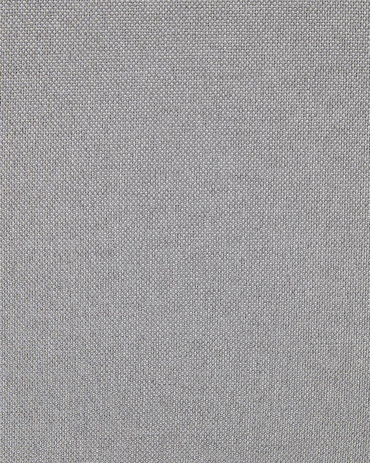 Set of 2 Dining Chairs Fabric Light Grey Tori