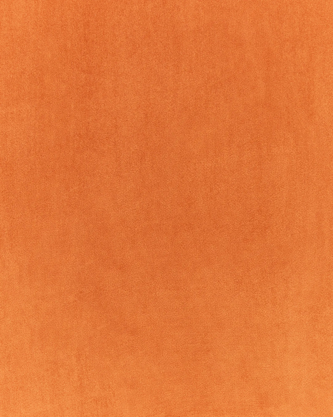 Delary Armchair Velvet Orange