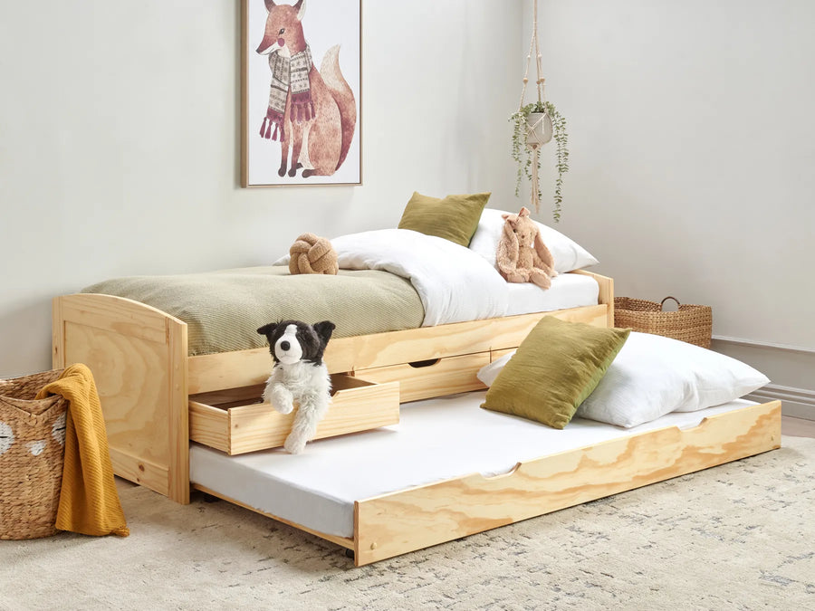 Wooden bed with pull-out trundle, dog on the trundle, and decorative items in a room.