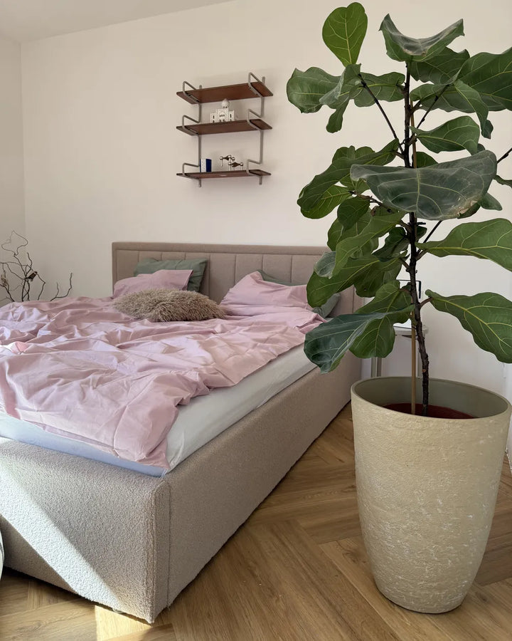 Ottoman Bed Boucle 180 x 200 cm (EU Super King) Beige Syll