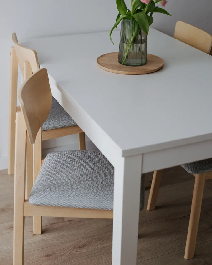 Set of 2 Dining Chairs Wood Light Grey Xylo