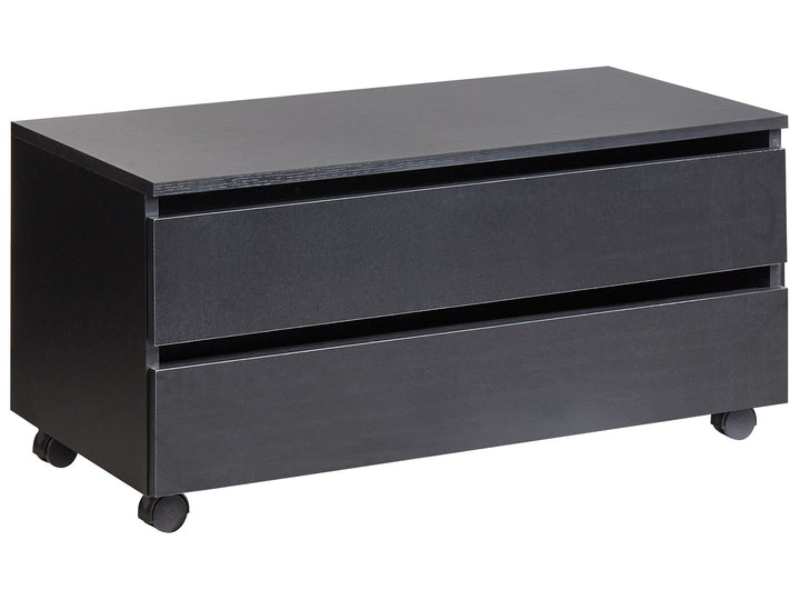Black metal file cabinet with two drawers on wheels against a white background