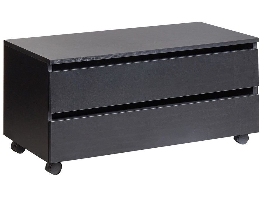 Black metal file cabinet with two drawers on wheels against a white background