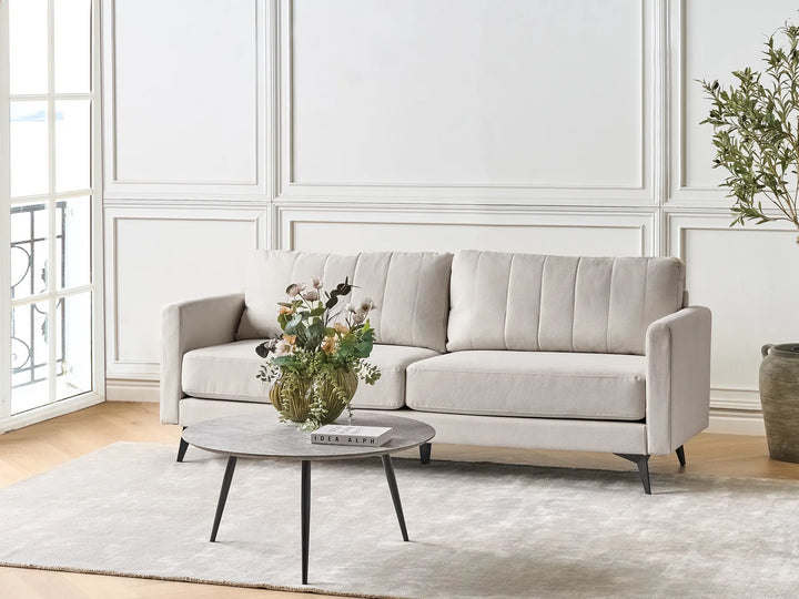 Beige sofa in a living room with a coffee table and decorative elements.