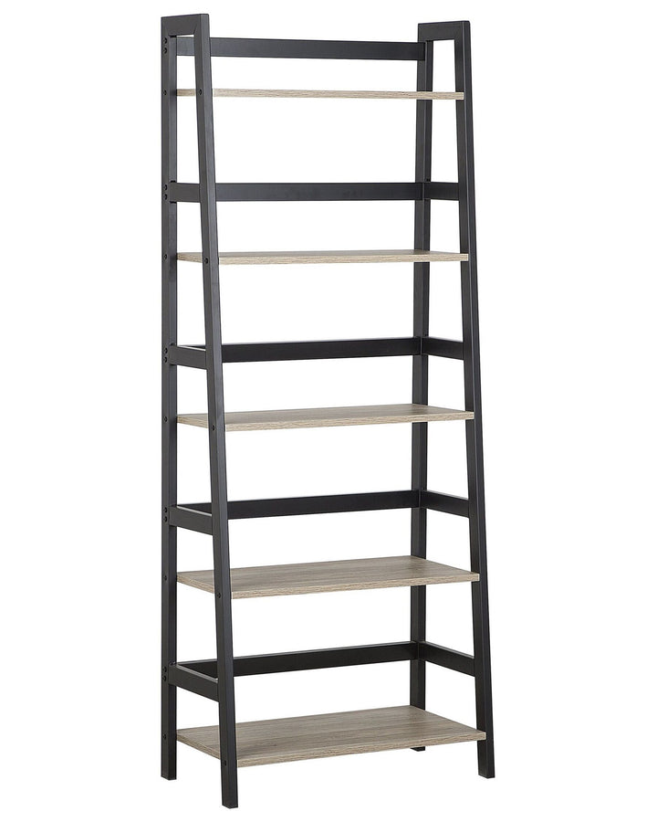 Ladder bookshelf with five shelves on a white background