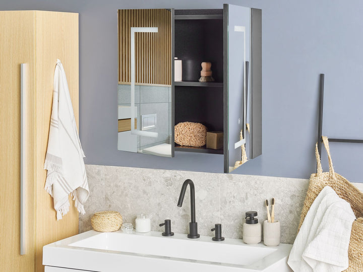 Bathroom Wall Mounted Mirror Cabinet LED 60 cm 60 cm Black Mazarredo